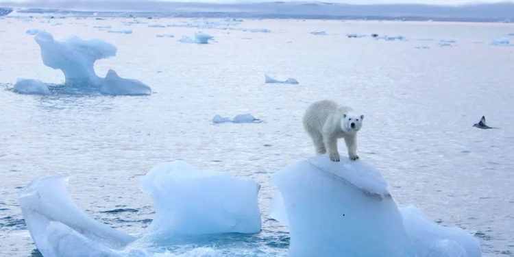 بحر لابيف في محيط القطب الشمالي لم يتجمد حتى نهاية أكتوبر