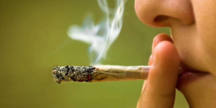 إسرائيل تقنن "الماريجوانا".. والهدف: المستهلك العربي وربع مليار دولار