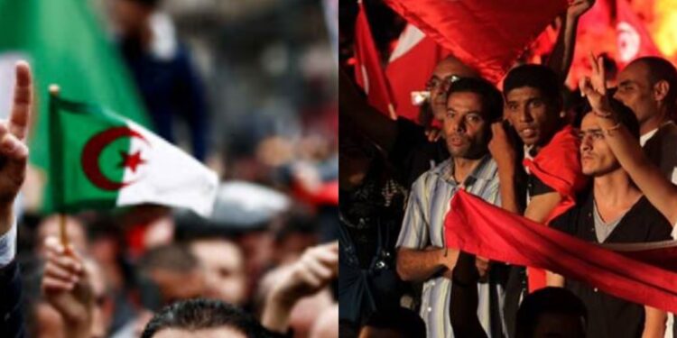 الثورة التونسية والجزائرية