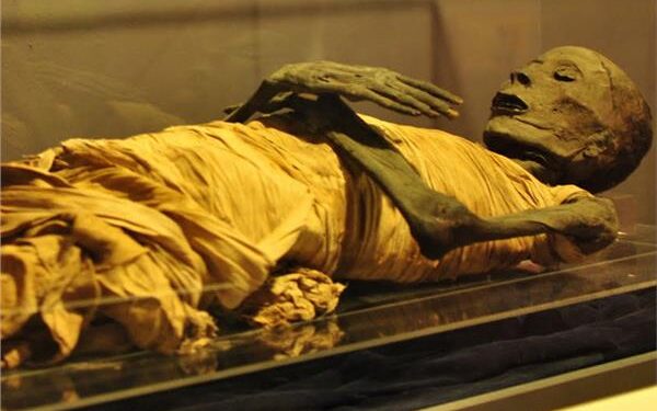 جثمان سقنن رع في المتحف المصري قبل نقله إلى متحف الحضارة