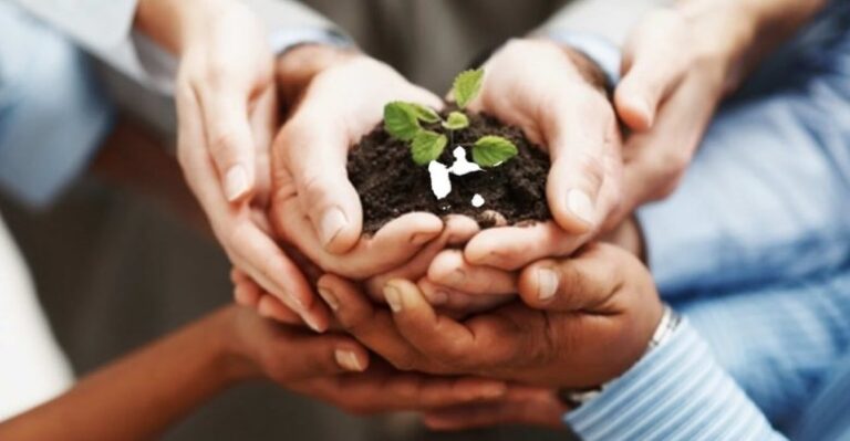 المسئولية المجتمعية للشركات.. فريضة الاقتصاد الغائبة