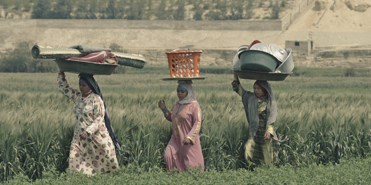 المرأة الريفية تلعب دورا مهما في تعزيز التنمية الزراعية والريفية