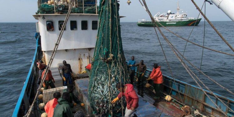 استنزاف ثروات الأسماك في أفريقيا عرض مستمر