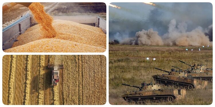 ازي الحال| أوكرانيا تشتعل.. ومصر تلغي مناقصة لشراء القمح.. وأسعار الحبوب تصل لمستويات مقلقة عالميًا
