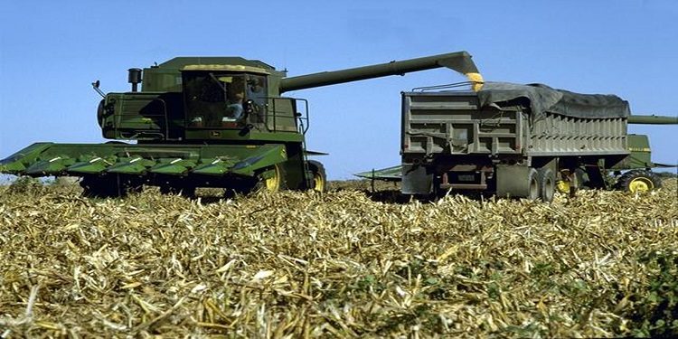 أمريكا تزيد مخاطر المجاعة عالميًا بالتوسع في إنتاج "وقود الذرة"