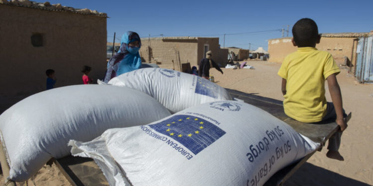أزمة القمح في أفريقيا.. بين "نفاق" أوروبا و"مصالح" روسيا
