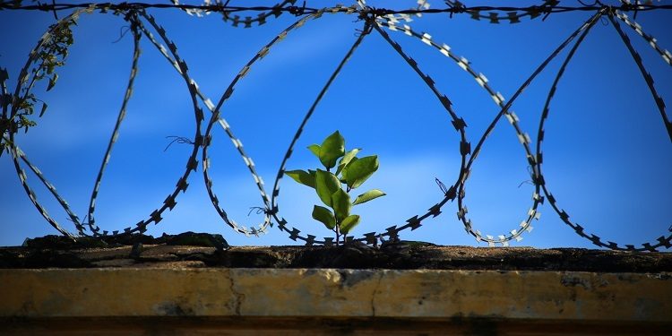 حرية السجناء والدمج المجتمعي