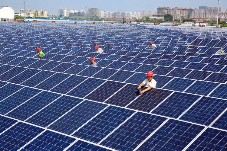 عمال صينيون يقومون بتركيب ألواح مزرعة للطاقة الشمسية