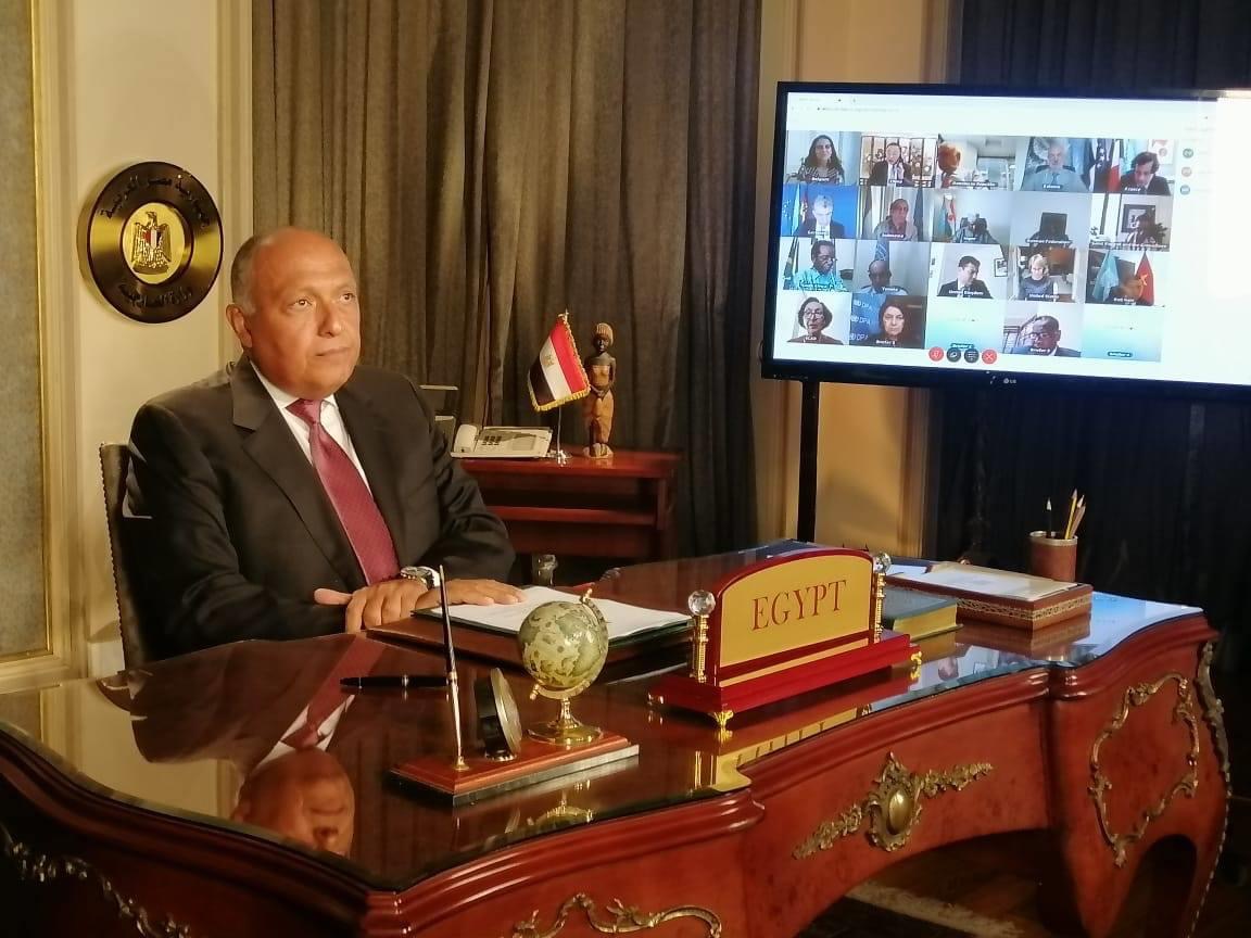 وزير الخارجية المصري خلال جلسة مجلس الأمن