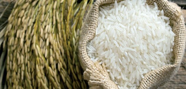 قررت "التموين" أن يكون الأرز محصولا تعاقديا بسعر توريد عند 6600 للبلدي