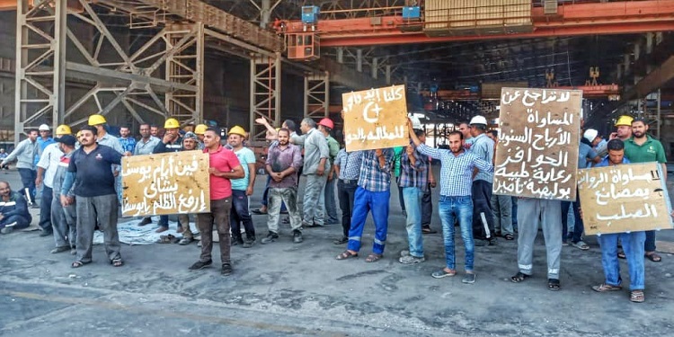 عمال شركة بشاي يرفعون اللافتات الاحتجاجية