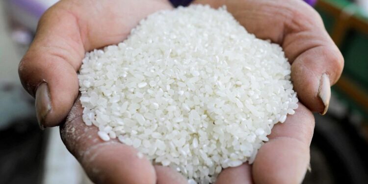 أزمة توريد الأرز الشعير