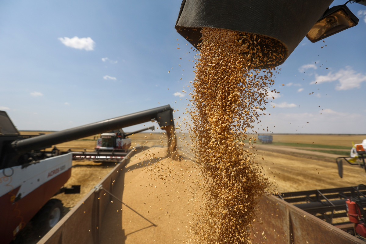 أسعار القمح بعد انسحاب روسيا من اتفاقية الحبوب