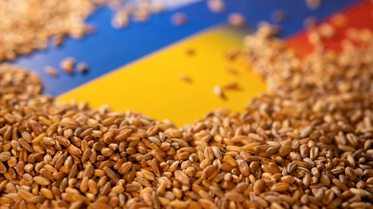 حبوب روسيا وأوكرانيا وأزمة الغذاء العالمي