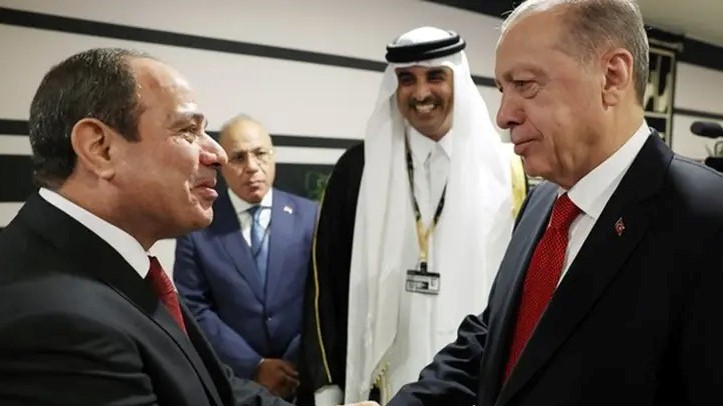 الرئيسان عبد الفتاح السيسي ونظيره التركي رجب طيب أردوغان (وكالات)