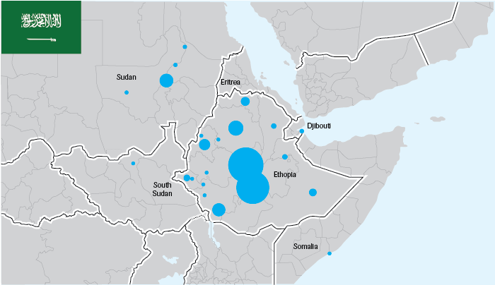 خريطة الاستثمارات السعودية في القرن الأفريقي - المصدر: معهد أبحاث "كليندال" الهولندي