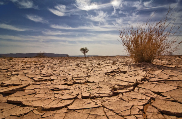 آثار تغير المناخ في القارة الإفريقية (الصورة - وكالات)