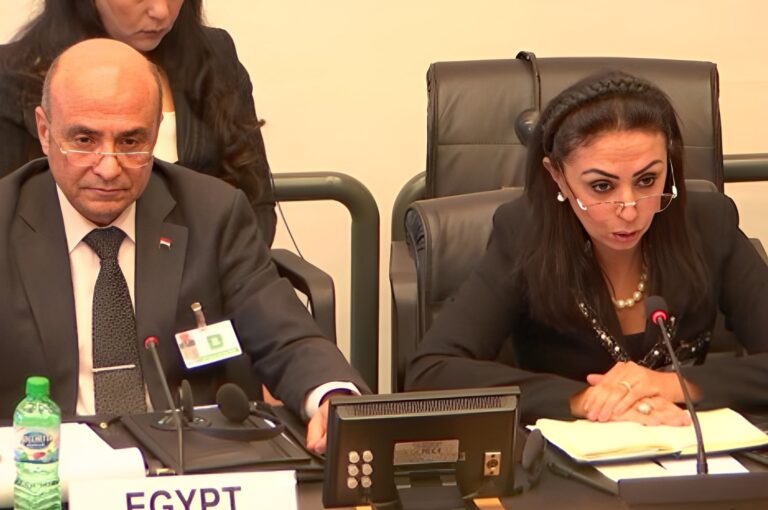 مايا مرسي رئيسة المجلس القومي للمرأة ووزير العدل المستشار عمر مروان أمام اللجنة الأممية (الأمم المتحدة)