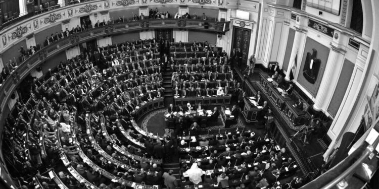 البرلمان المصري (وكالات)