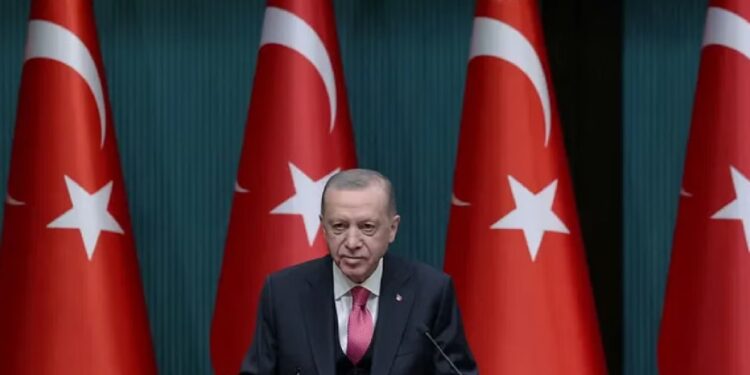 أعلن مقتل الزعيم الرابع لـ"داعش".. أردوغان يقدم مسوغات انتخابه مرة ثالثة (وكالات)