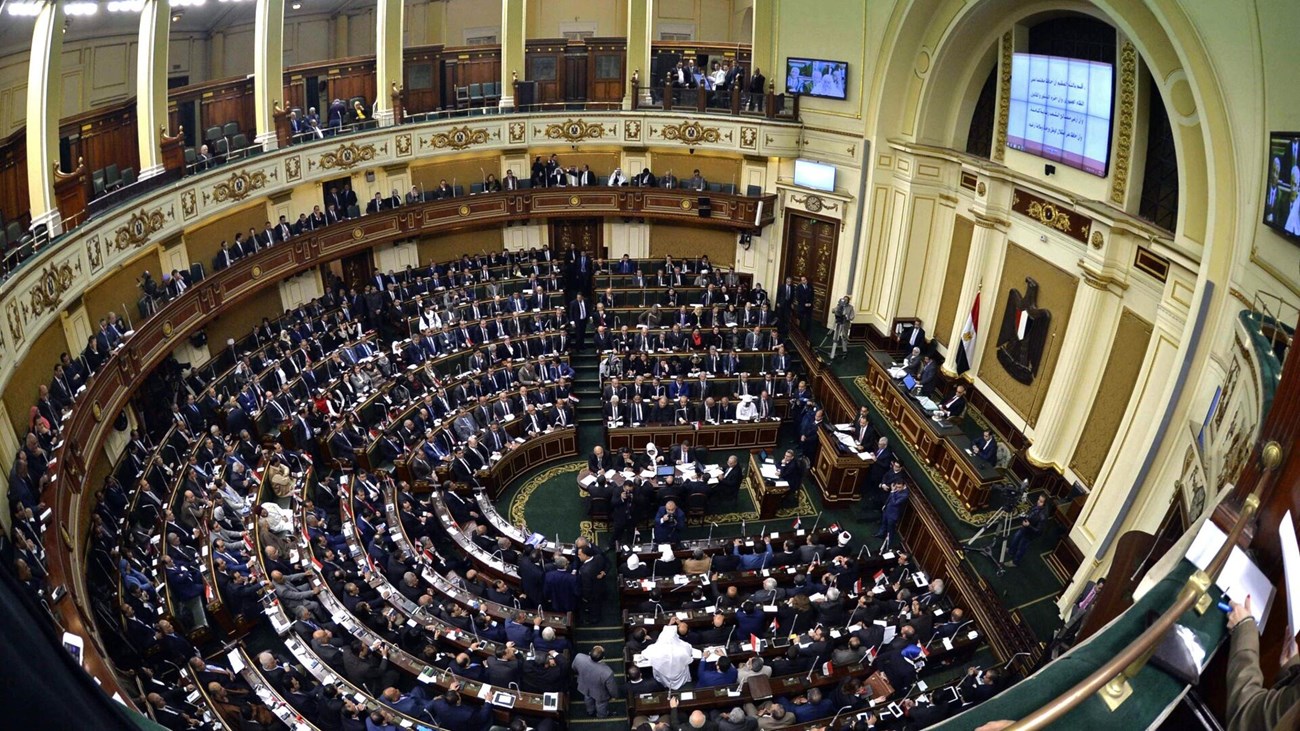 مجلس النواب المصري (وكالات)
