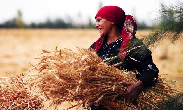 النساء يشكلن نسبة ما بين 3 % إلى 20% من ملاك الأراضي الزراعية (وكالات)