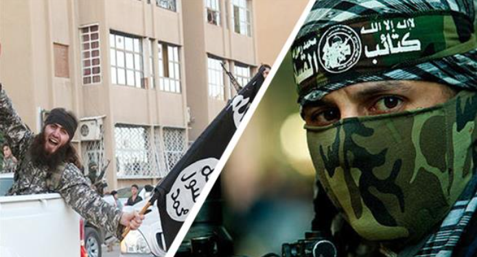 المقارنة المغرضة بين حماس وداعش
