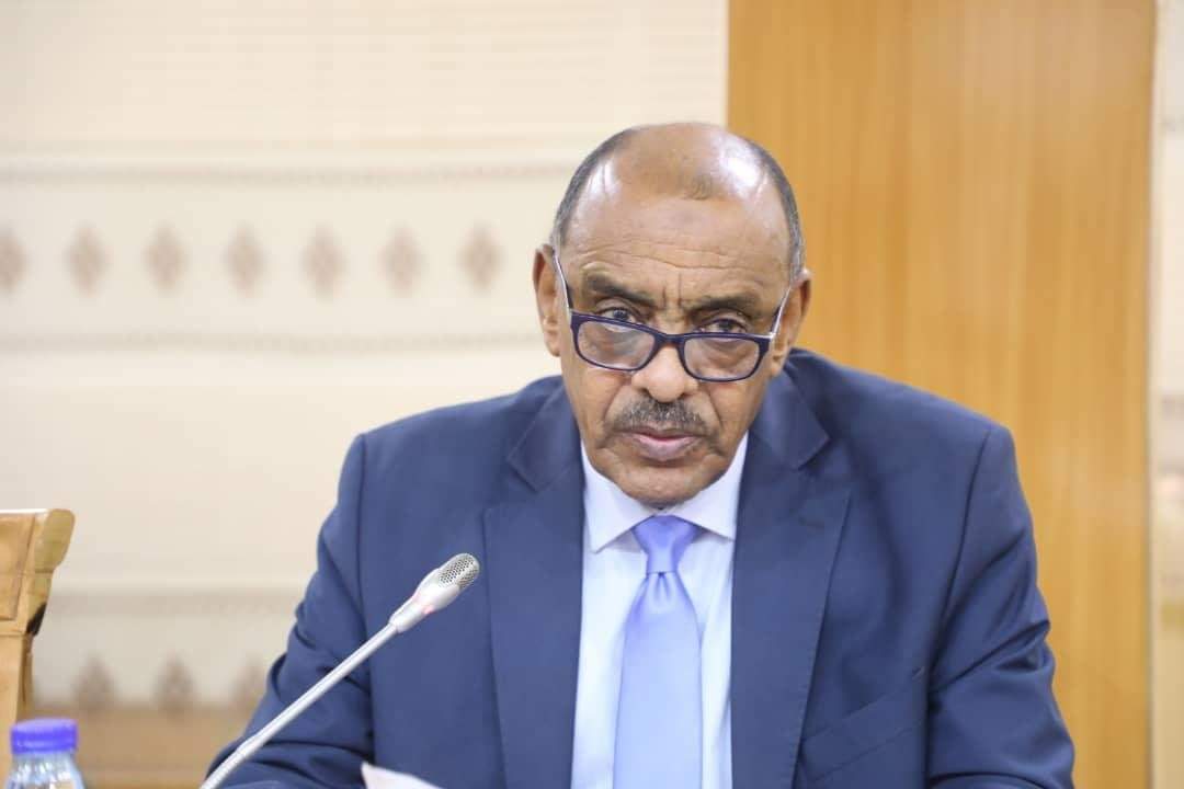 وزير الخارجية السوداني، علي الصادق علي