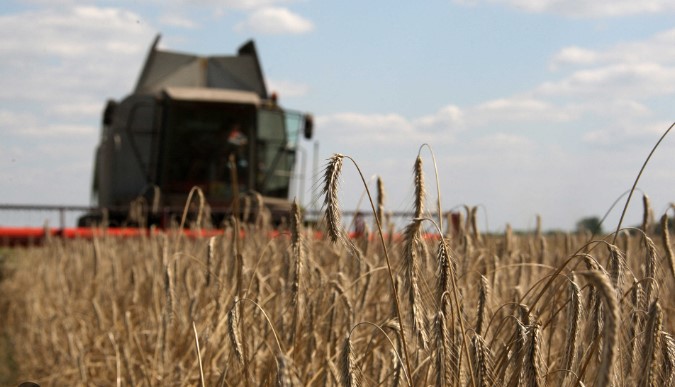 مصر تشتري 120 ألف طن من القمح الأوكراني في ممارسة دولية