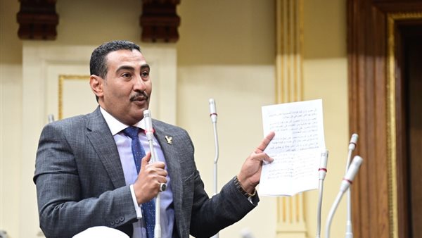 النائب محمد الجبلاوي عضو لجنة الطاقة والبيئة بمجلس النواب