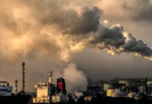 هل يبدأ عصر “الحق في البيئة” في مصر؟