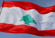 لبنان والآليات الدولية لحقوق الإنسان| انفوجراف  لبنان