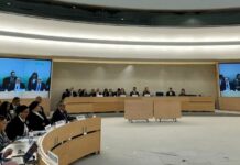 النشرة الحقوقية: 382 توصية من 137 دولة في المراجعة الدورية للملف المصري   المراجعة الدورية للملف الحقوقي المصري