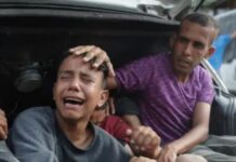 الترانسفير أو هولوكوست الفلسطينيين.. من الحل الترامبي للخذلان العربي هولوكوست الفلسطنيين