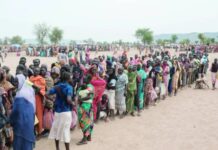 هندسة الفوضى.. الدعم السريع يواصل تفكيك النسيج الاجتماعي نازحات ونازحون يصطفون للحصول على مساعدات غذائية في مخيم بشمال كردفان