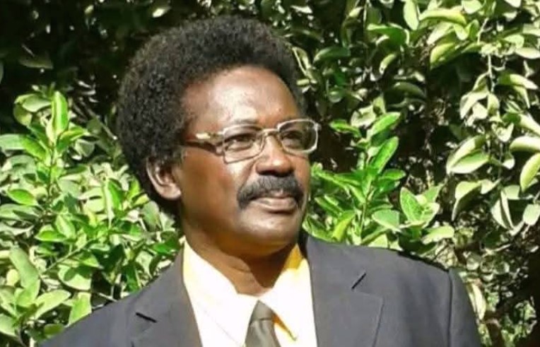 الكاتب والمؤرخ السوداني خالد بحيري