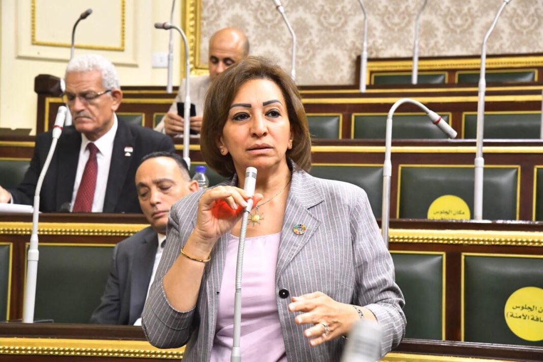 النائبة مها عبد الناصر