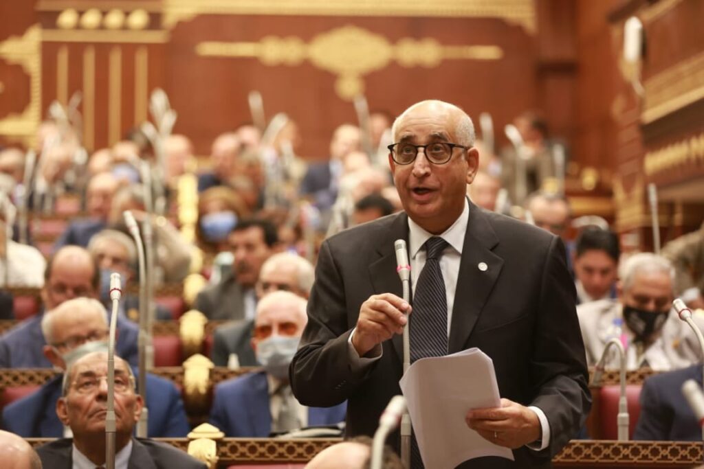 النائب حسانين توفيق، عضو مجلس الشيوخ