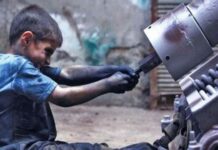 أطفال على حافة الخطر.. تعديل القرار 215 ضرورة عاجلة ظاهرة عمالة الأطفال في مصر