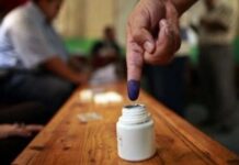 الشباب المصريون مشكلات الترشيح وضعف الاقتراع الانتخابات في مصر