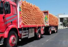 استمرار أزمة الموسم الصيفي للأسمدة.. الغاز وفساد الجمعيات أزمة توريد الأسمدة