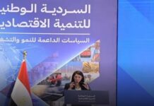 السردية والخطة والرؤية والوثيقة.. تعددت الأسماء والمضمون الاقتصادي واحد السردية الوطنية