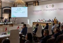 ازي الحال| مسودة بيان القمة العربية الإسلامية في الدوحة: تضامن وإدانة ولا إجراءات عقابية.. الحبس 6 أشهر لقاتلة الكلاب الاجتماع التحضيري لقمة الدوحة