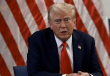 ترامب وغزة.. خطايا “نصف إله شرقي”! ترامب