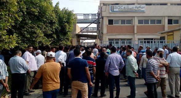 إضراب عمال ألومنيوم نجع حمادي