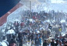 شرعية القوة أم القانون خطة ترامب لغزة