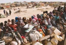 بيان حقوقي: مركز التنمية والدعم والإعلام يدين “انتهاكات الفاشر” نازحون من الفاشر السودانية عقب سقوطها في قبضة الدعم السريع