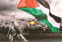 جهاد ثم انقسام ثم نكبة