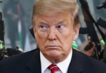 ازي الحال| حماس تبحث خطة ترامب.. فيضانات السودان تتجدد.. القبض على نشطاء “أسطول الصمود المصري”.. بدء تطبيق “إنترنت الأشياء” في مصر خطة ترامب لغزة وحماس