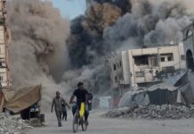 خطة ترامب لإنهاء الحرب في غزة.. ماذا تتضمن؟ خطة ترامب والحرب على غزة